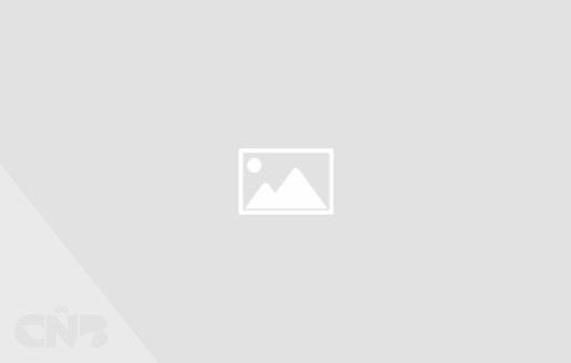 Foto van Schijveneg-Geo 85 cm