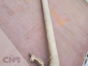 Foto van Bauer 76 mm beregeningsbuizen