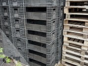 Foto van Broeibakken