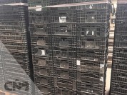 Foto van Tulpen exportkrat-Kunststof krat