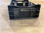 Foto van Tulpen exportkratten 60x40x18