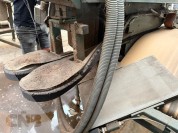 Foto van Onboller met verenkelaar-Potveer