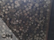 Foto van Houten palen