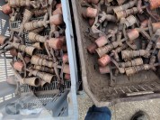 Foto van Rolland 17F sproeiers