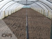 Foto van Diverse tunnelkassen