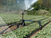 Foto van Haspel-Ferbo 90-400