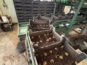 Foto van Compleet potgrond plant en bunker systeem